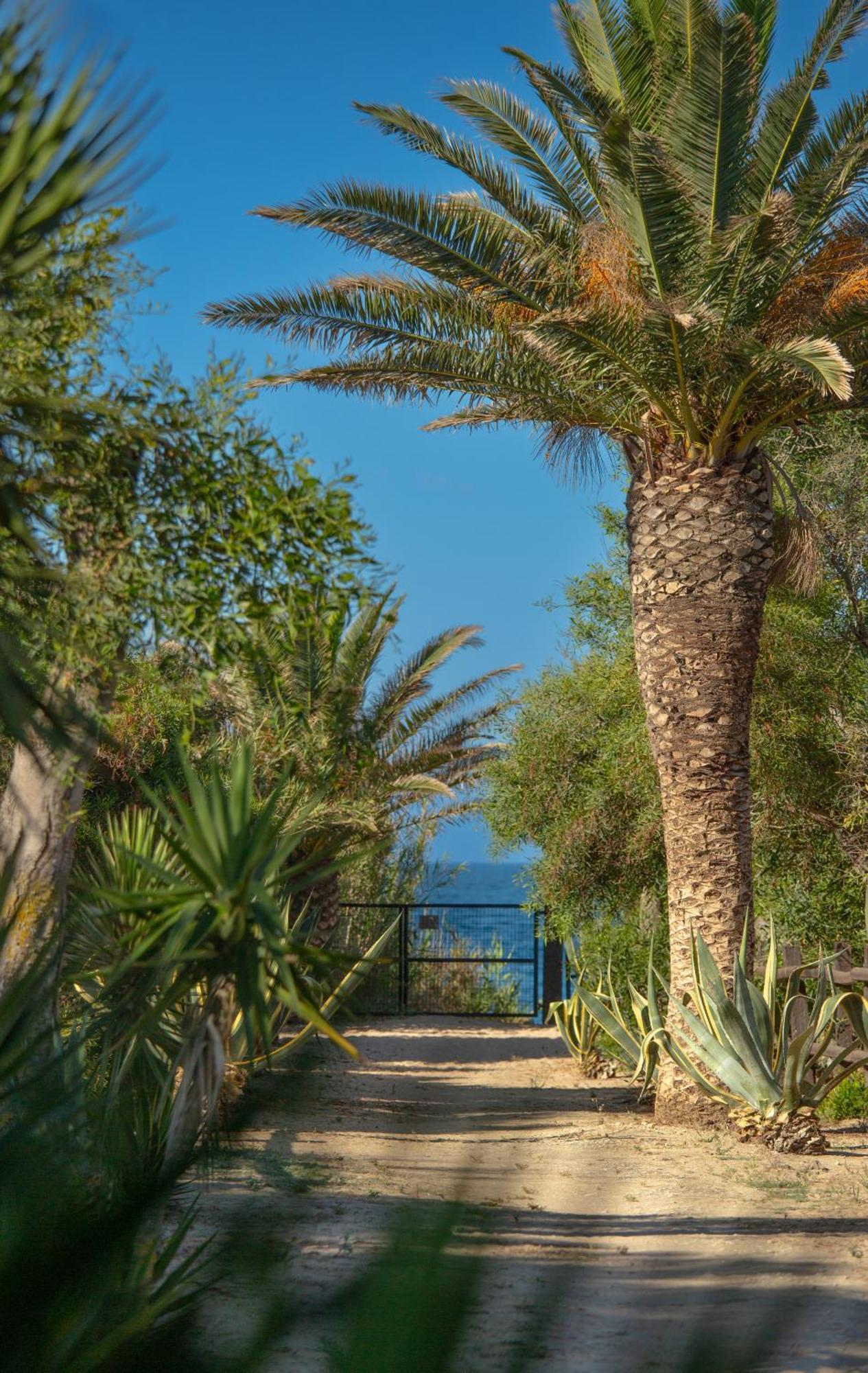 Casara Seis O Casara Siete - Tu Casa A 100M De La Playa De Zahora Guest House Exterior photo